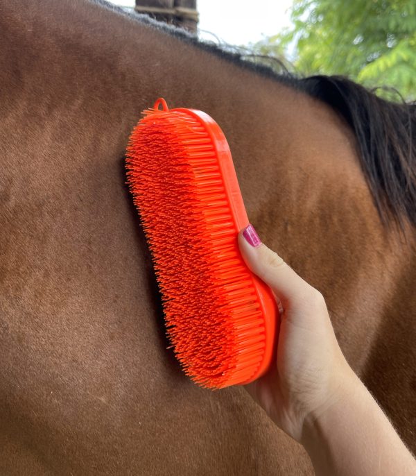Escova para Pelo Mágica Multiuso AM Ferramentas cor:Laranja - Imagem 2
