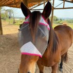 Máscara Anti-Mosca Cinza com Rosa - Barão Horsewear - Imagem 2