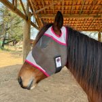 Máscara Anti-Mosca Cinza com Rosa - Barão Horsewear