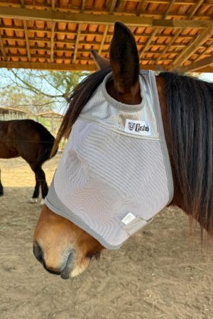 Máscara Anti-Mosca Crusader Fly Mask Cashel