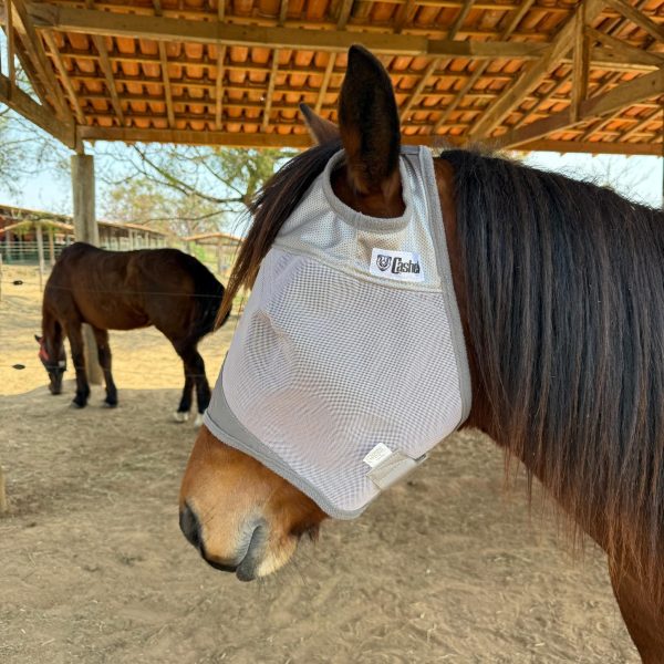 Máscara Anti-Mosca Crusader Fly Mask Cashel - Imagem 1