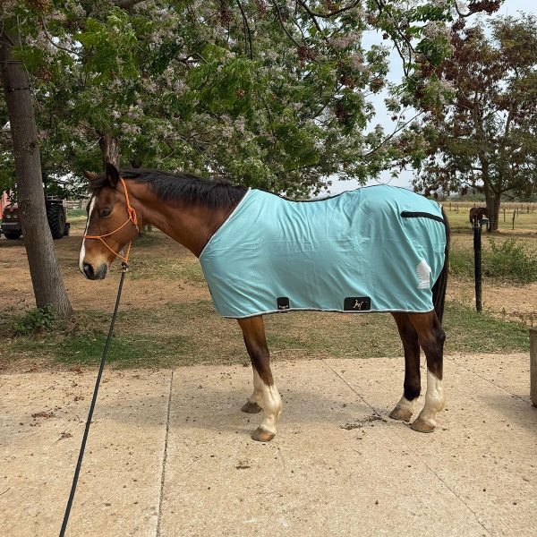 Capa de Frio de Nylon Classic Equine Verde Água - Imagem 1