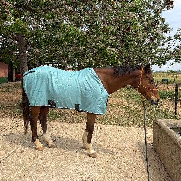 Capa de Frio de Nylon Classic Equine Verde Água - Imagem 2